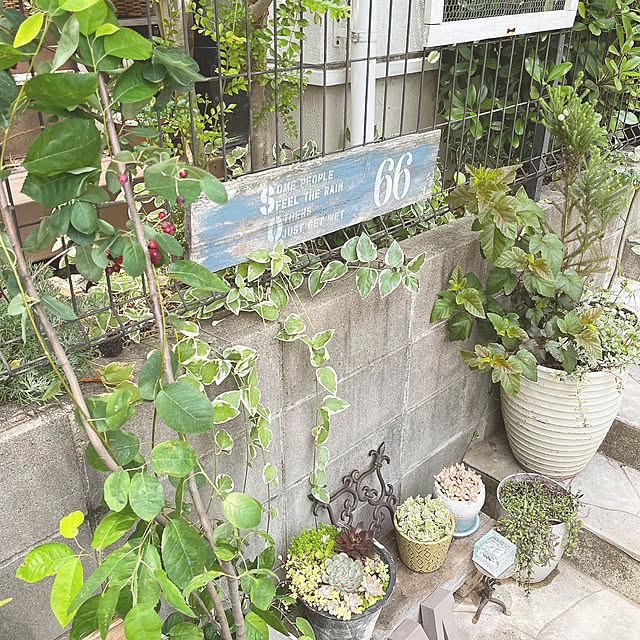 kuroさんの実例写真