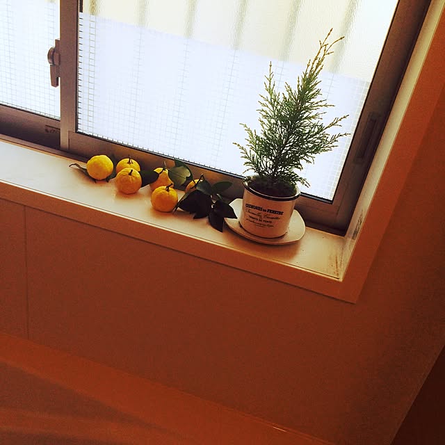 nishyringoさんの実例写真