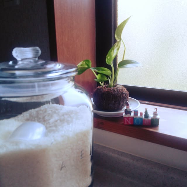 kuuさんの実例写真