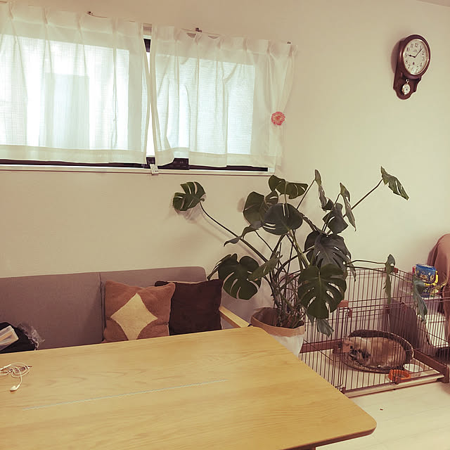 puchi147さんの実例写真