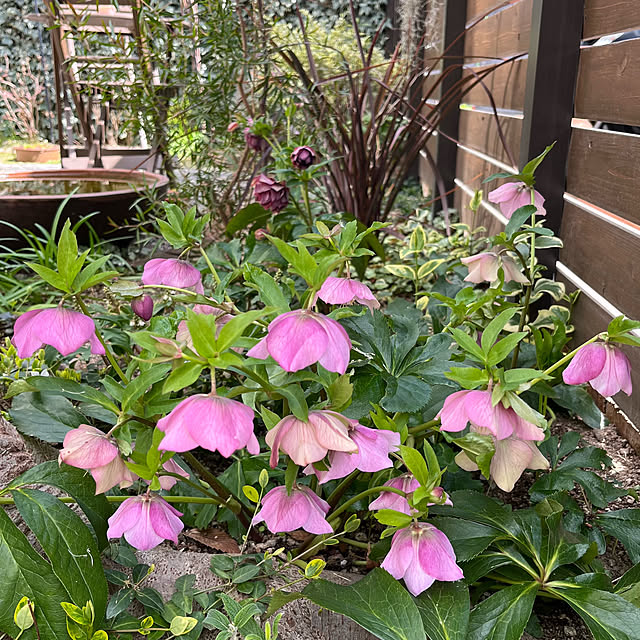 kuuさんの実例写真