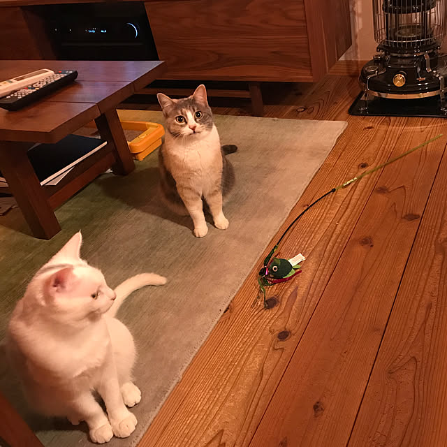 sakurasakuさんの実例写真