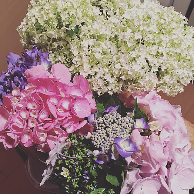 hydrangea.さんの実例写真