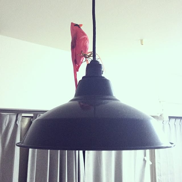 star.mkさんの実例写真