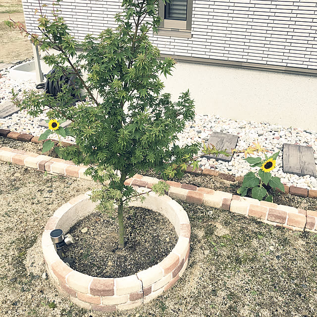 yunyumさんの実例写真