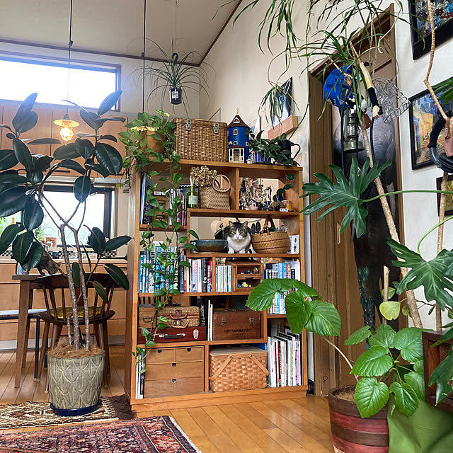 Aikoさんの実例写真