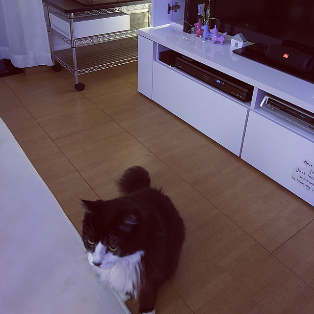 kanaさんの実例写真