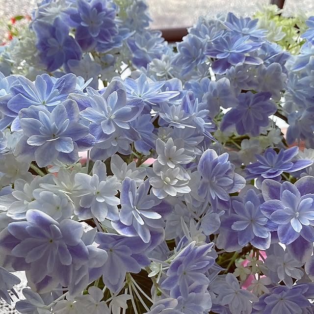 min_nimさんの実例写真