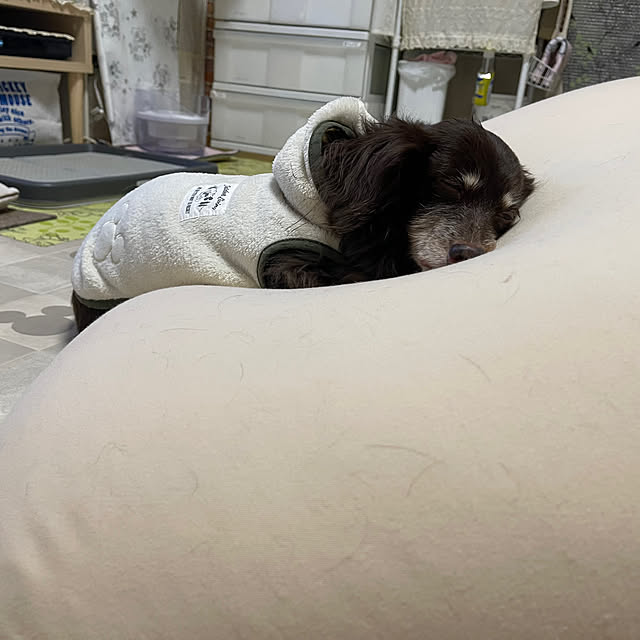 Luckyさんの実例写真