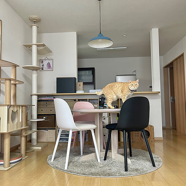 chiiさんの部屋