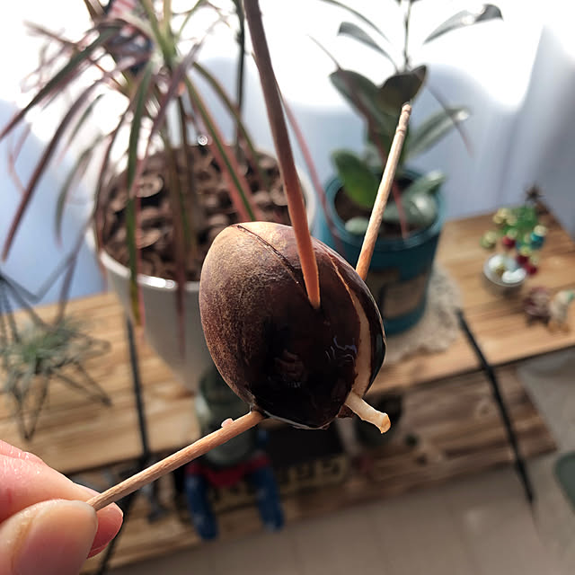 tinkさんの実例写真