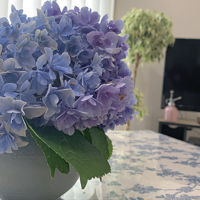 i.home0818さんの実例写真