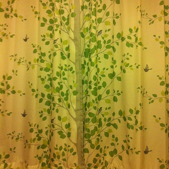 ayaCaさんの実例写真