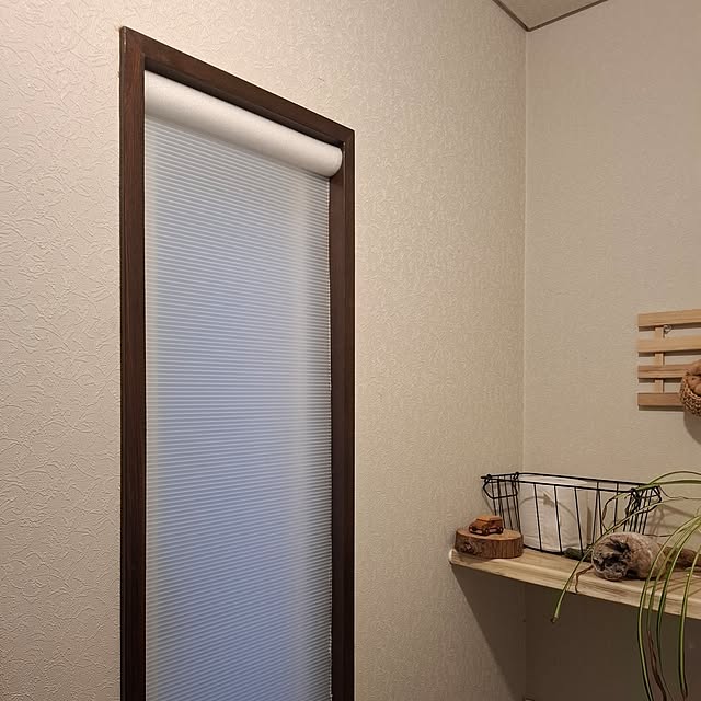 midoriさんの部屋