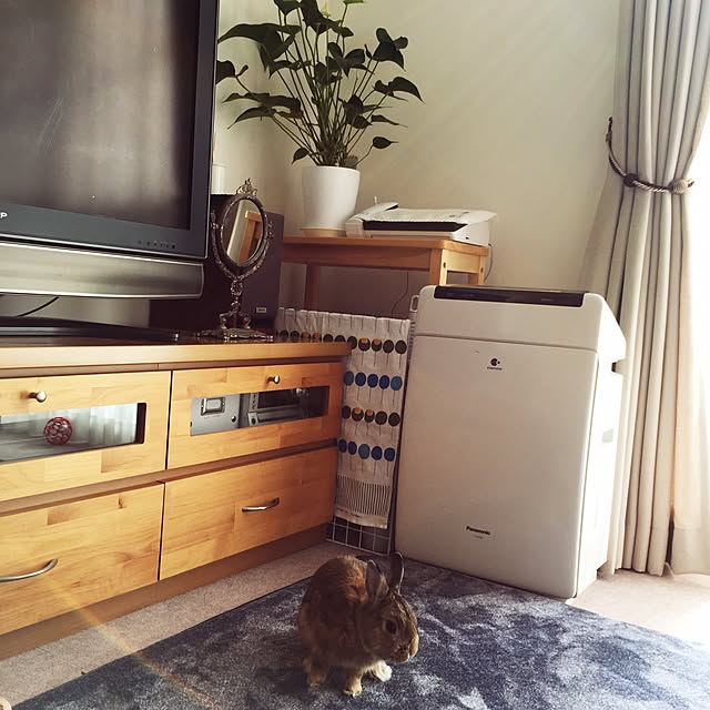 sakuusaさんの実例写真