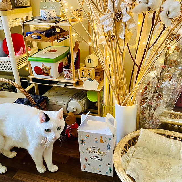 YUKAさんの部屋