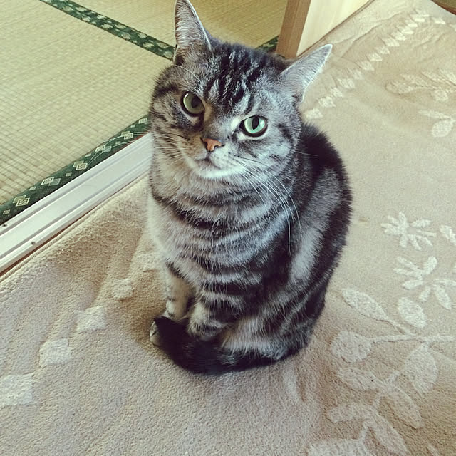 richanさんの実例写真