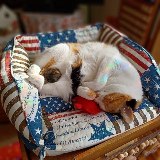 nanaさんの実例写真