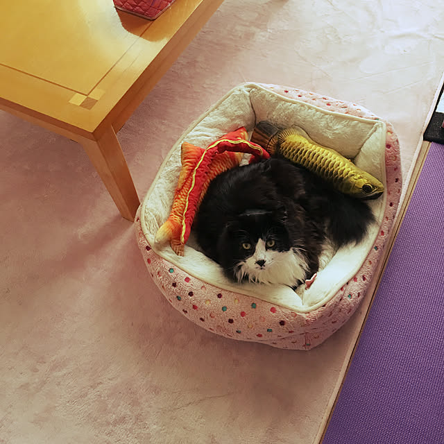 kanaさんの実例写真