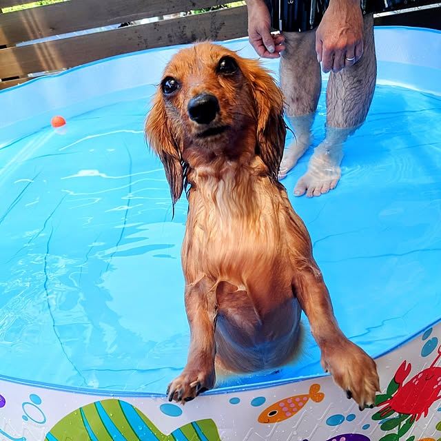 ponchanさんの実例写真
