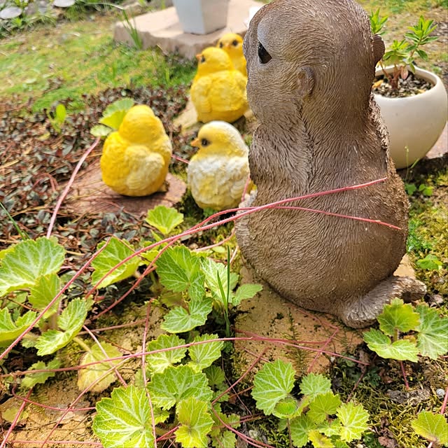 Mariさんの部屋