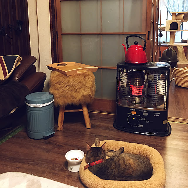 kohakuringoさんの実例写真