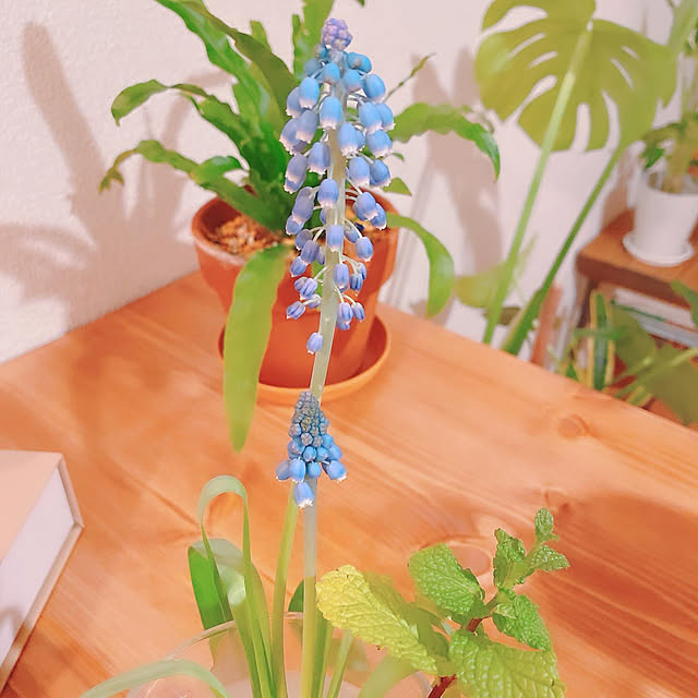 smallroomさんの実例写真