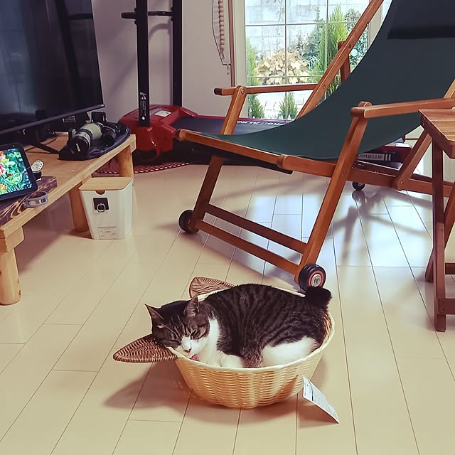 実例写真