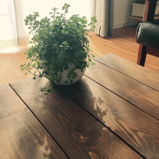pecopecoさんの実例写真