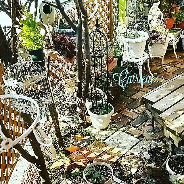 catriene0123さんの実例写真