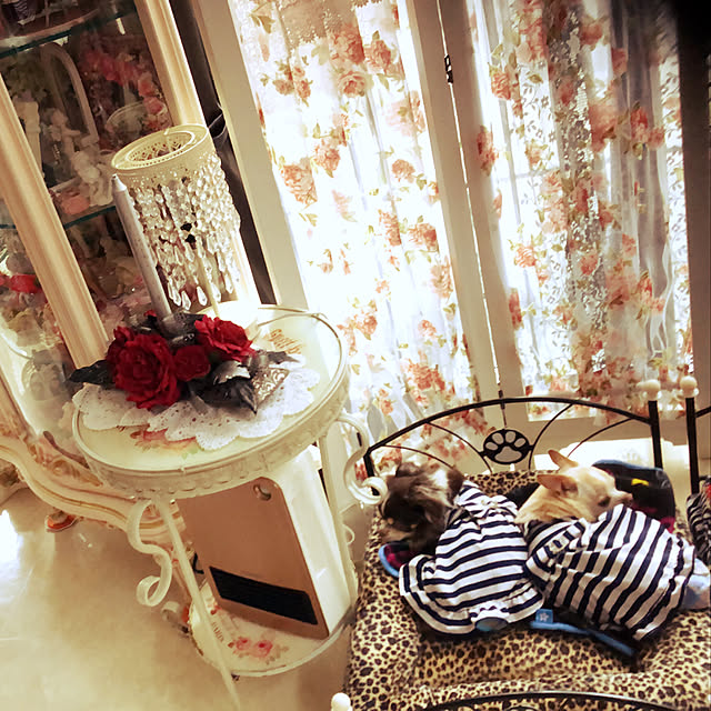 angelrose.yuuさんの実例写真