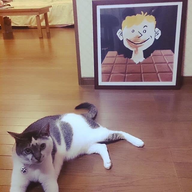 furlaさんの実例写真