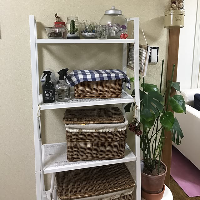 実例写真