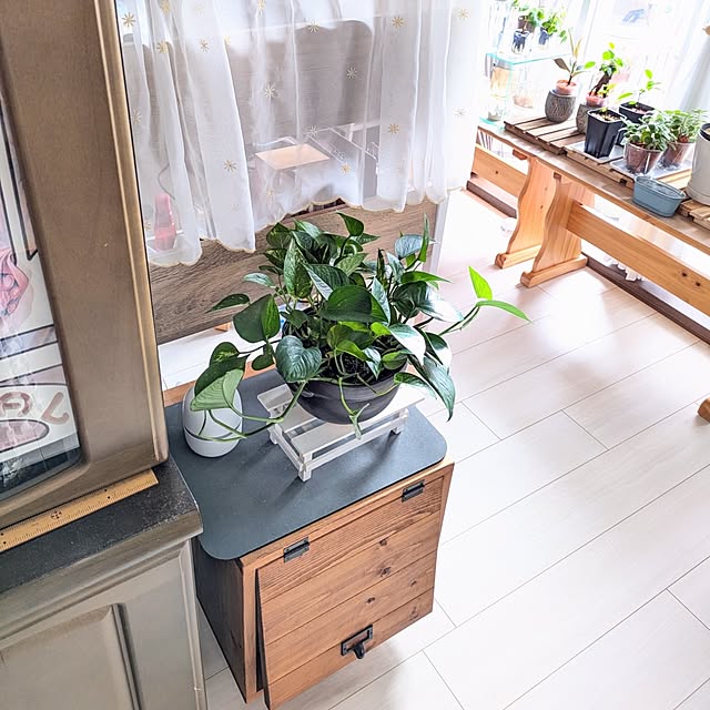 mi-saさんの部屋