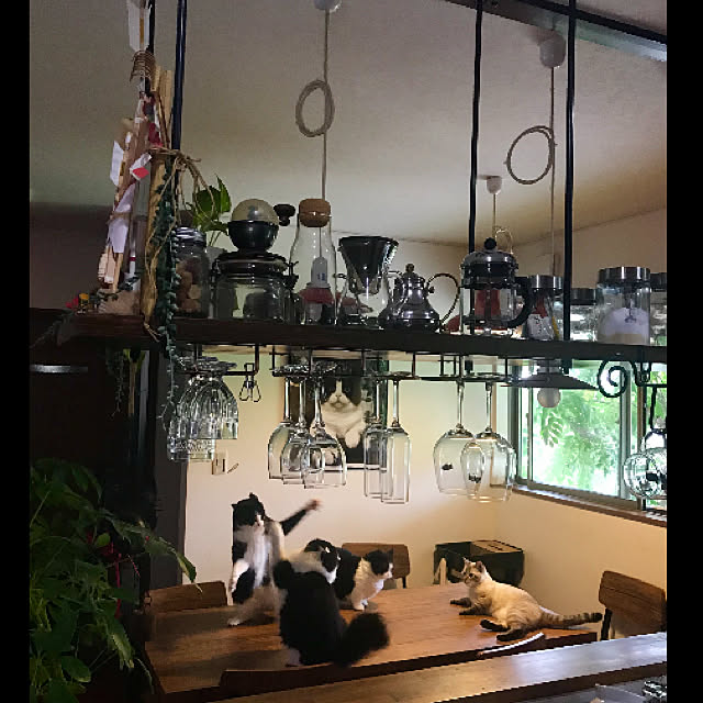 butachanさんの実例写真