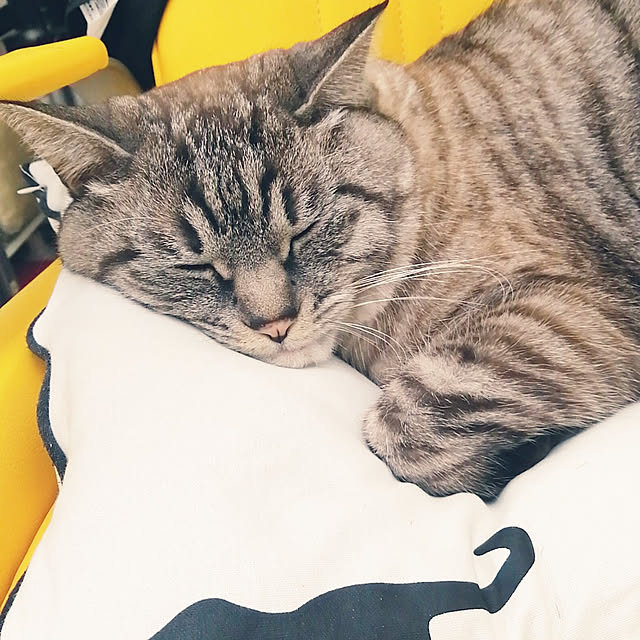 Manaさんの実例写真
