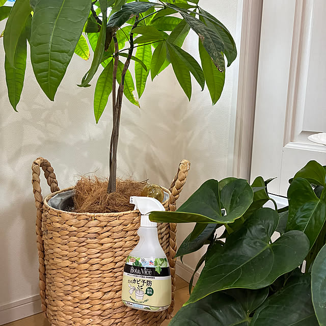 dmamaさんの実例写真