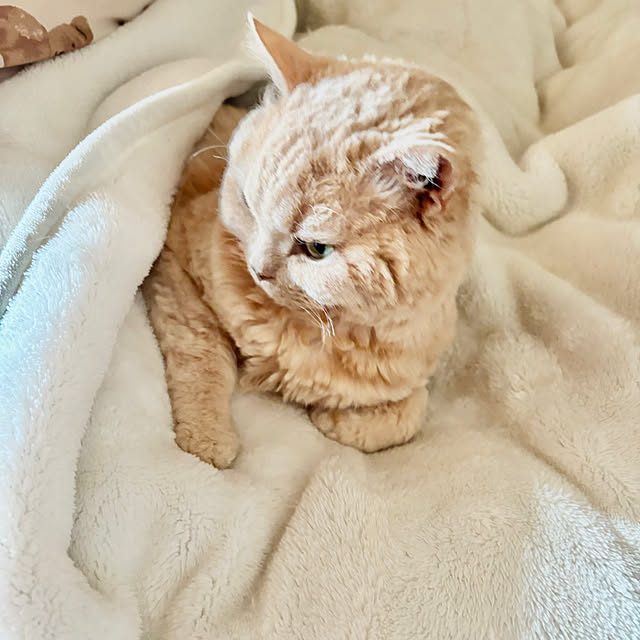 naokoさんの部屋