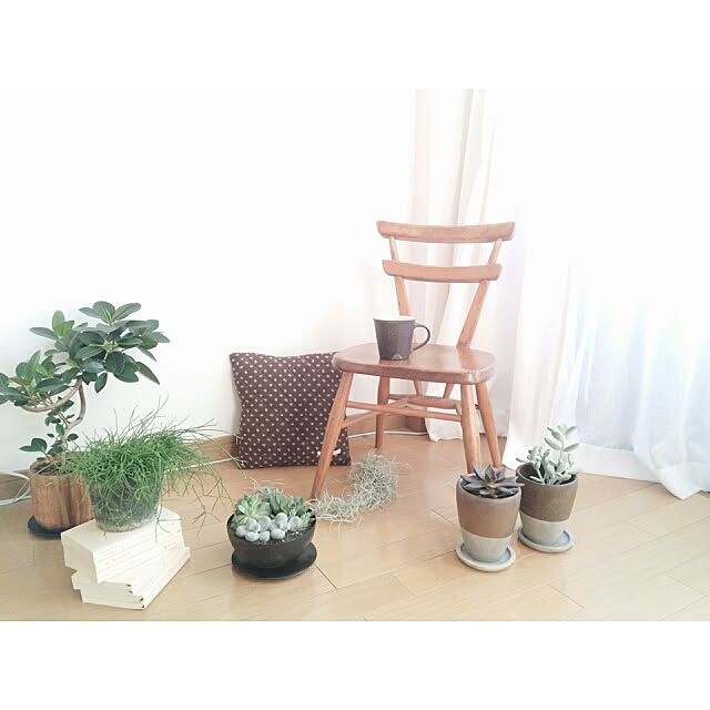 cata_coto_さんの実例写真