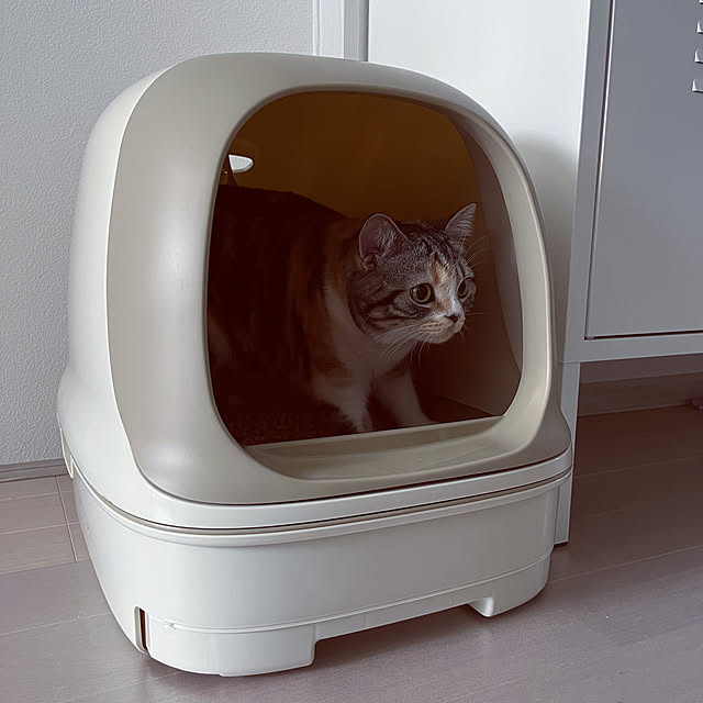 mouseさんの部屋
