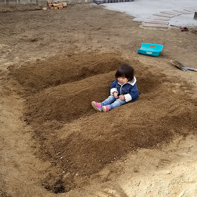 misukibiさんの実例写真