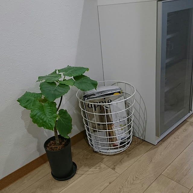 bary.minamiさんの実例写真