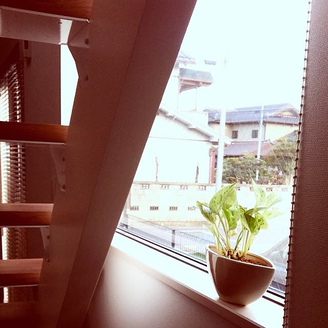 takkさんの実例写真