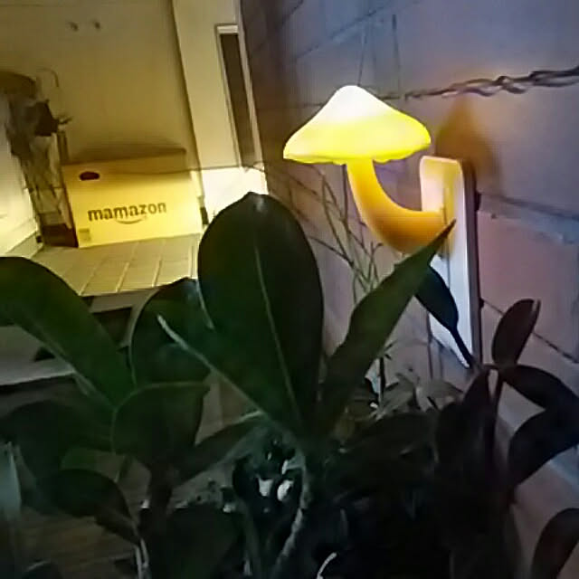 spinetailさんの実例写真