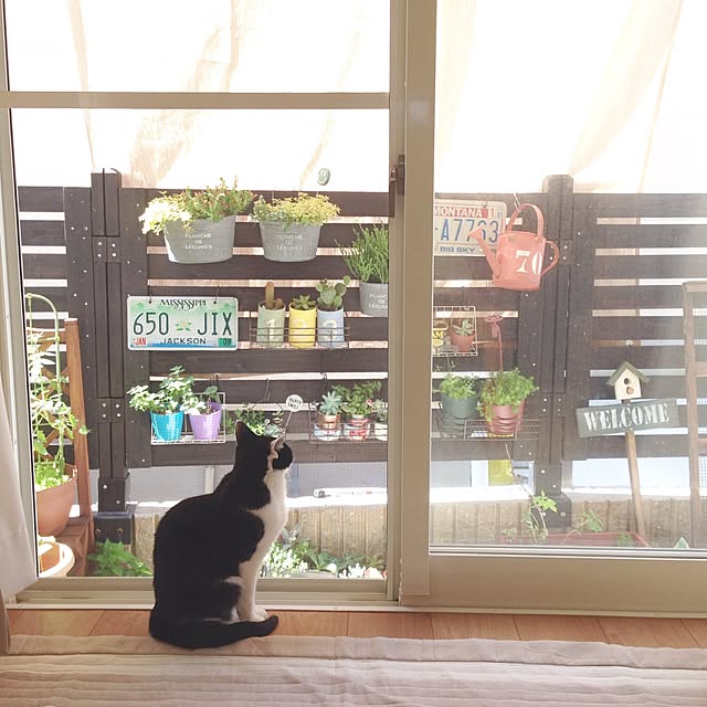 youkoさんの実例写真