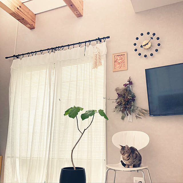 mikkumikuさんの実例写真