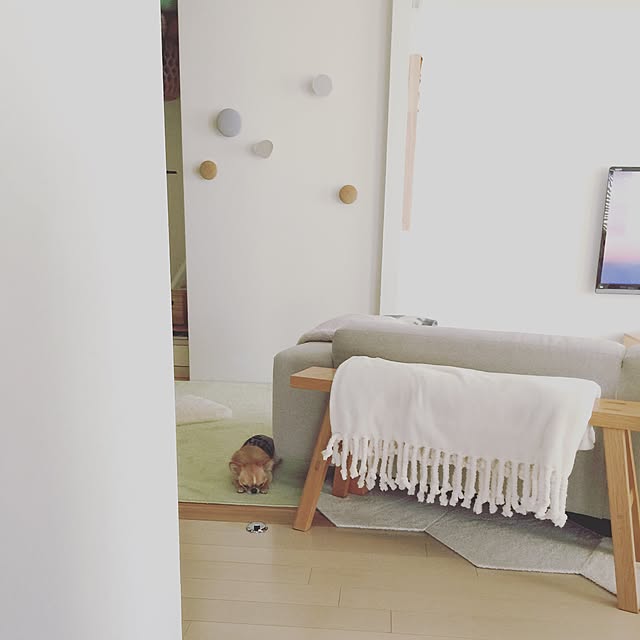 haruhinaさんの実例写真