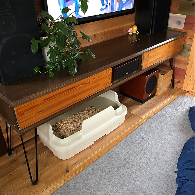 wacchiさんの実例写真