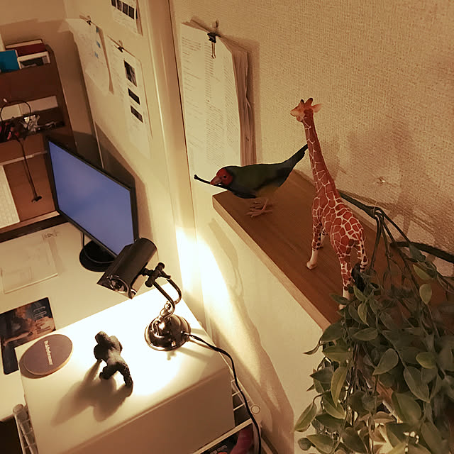 op8kn4さんの実例写真