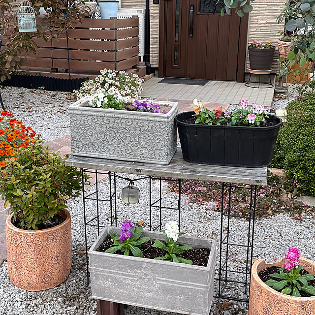 ronronさんの部屋